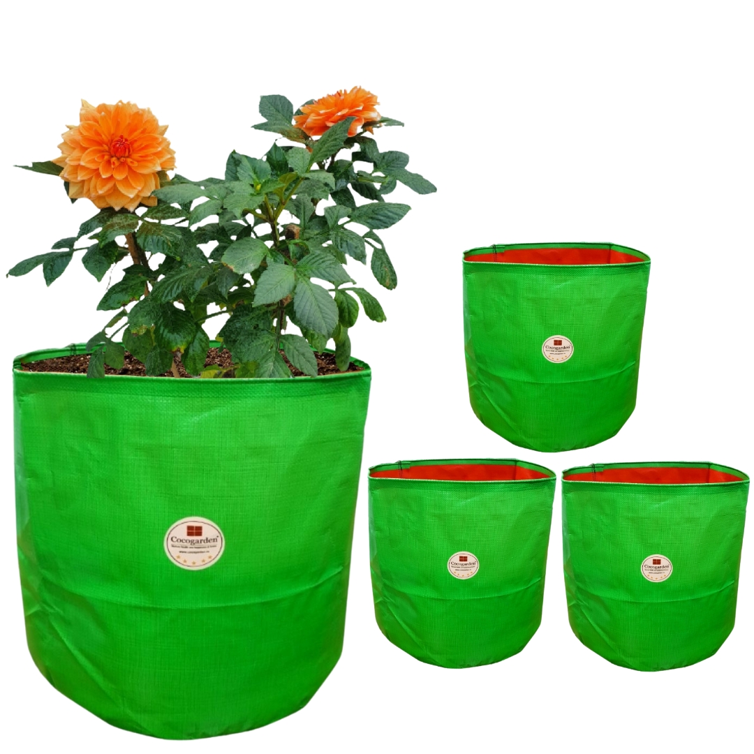 15 X 15 (Pack of 4) 15 X 15 (Pack of 4)