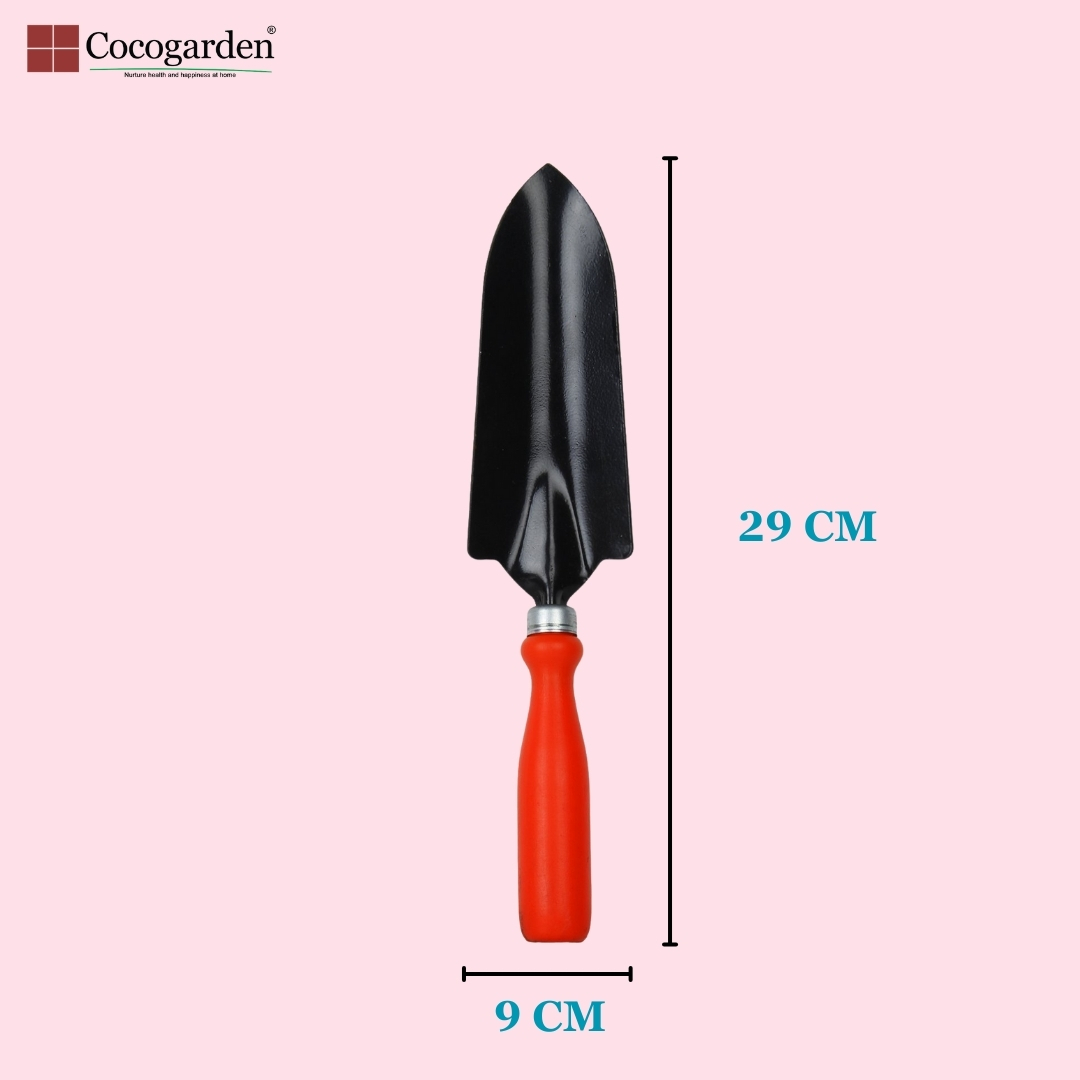 Addnl Image1 Addnl Image1