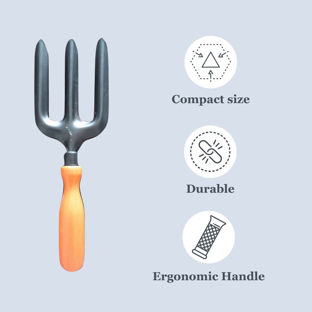 Addnl Image1 Addnl Image1