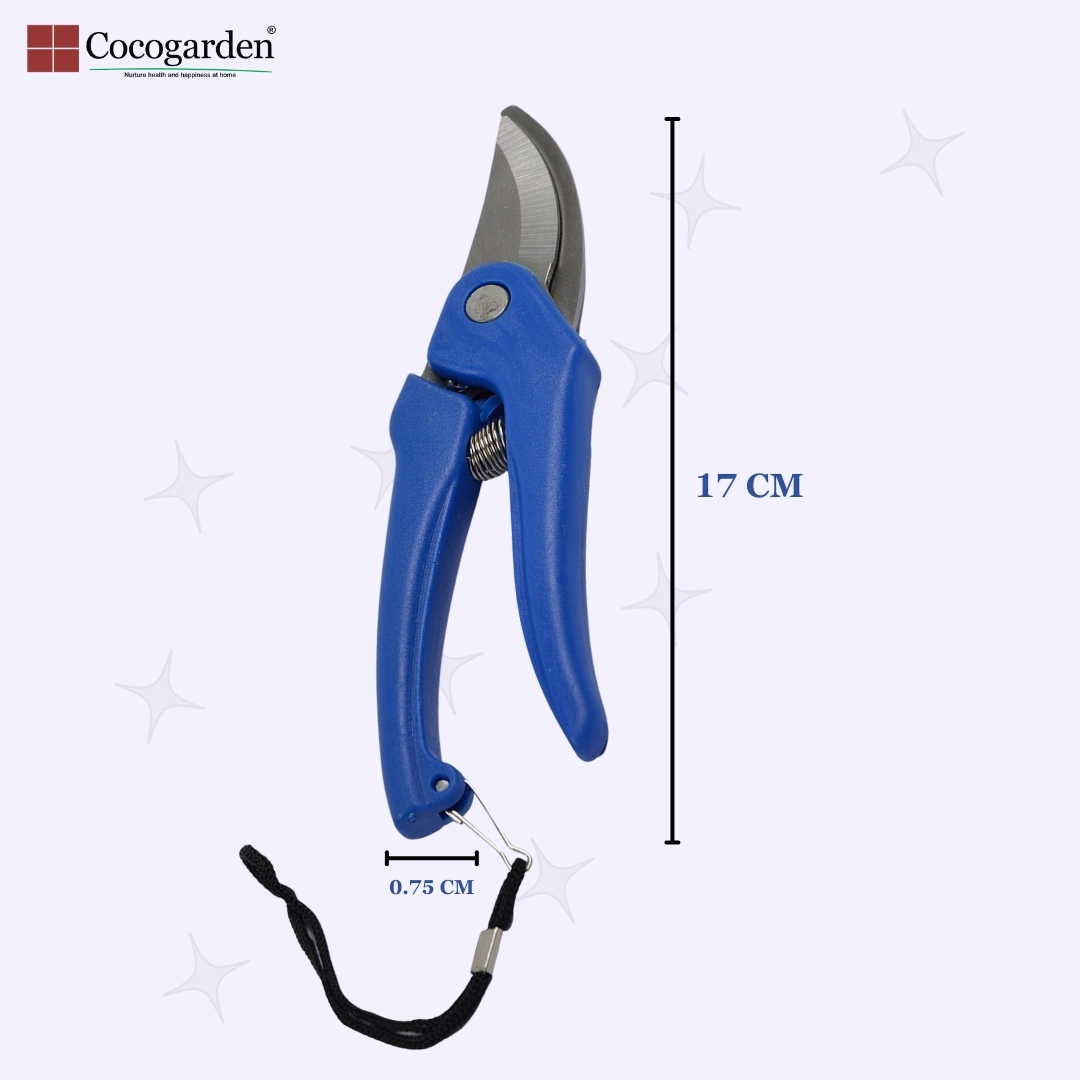 Addnl Image2 Addnl Image2