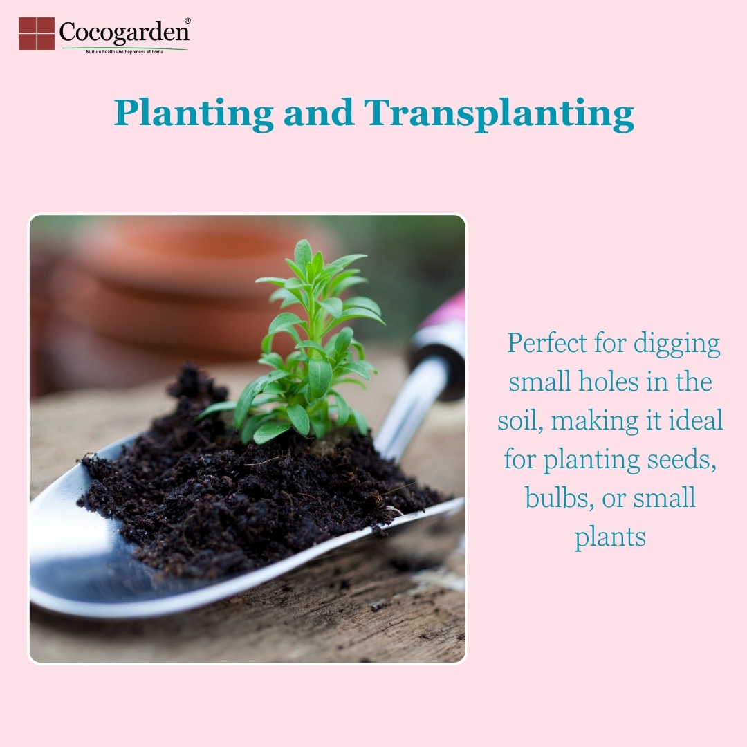 Addnl Image3 Addnl Image3