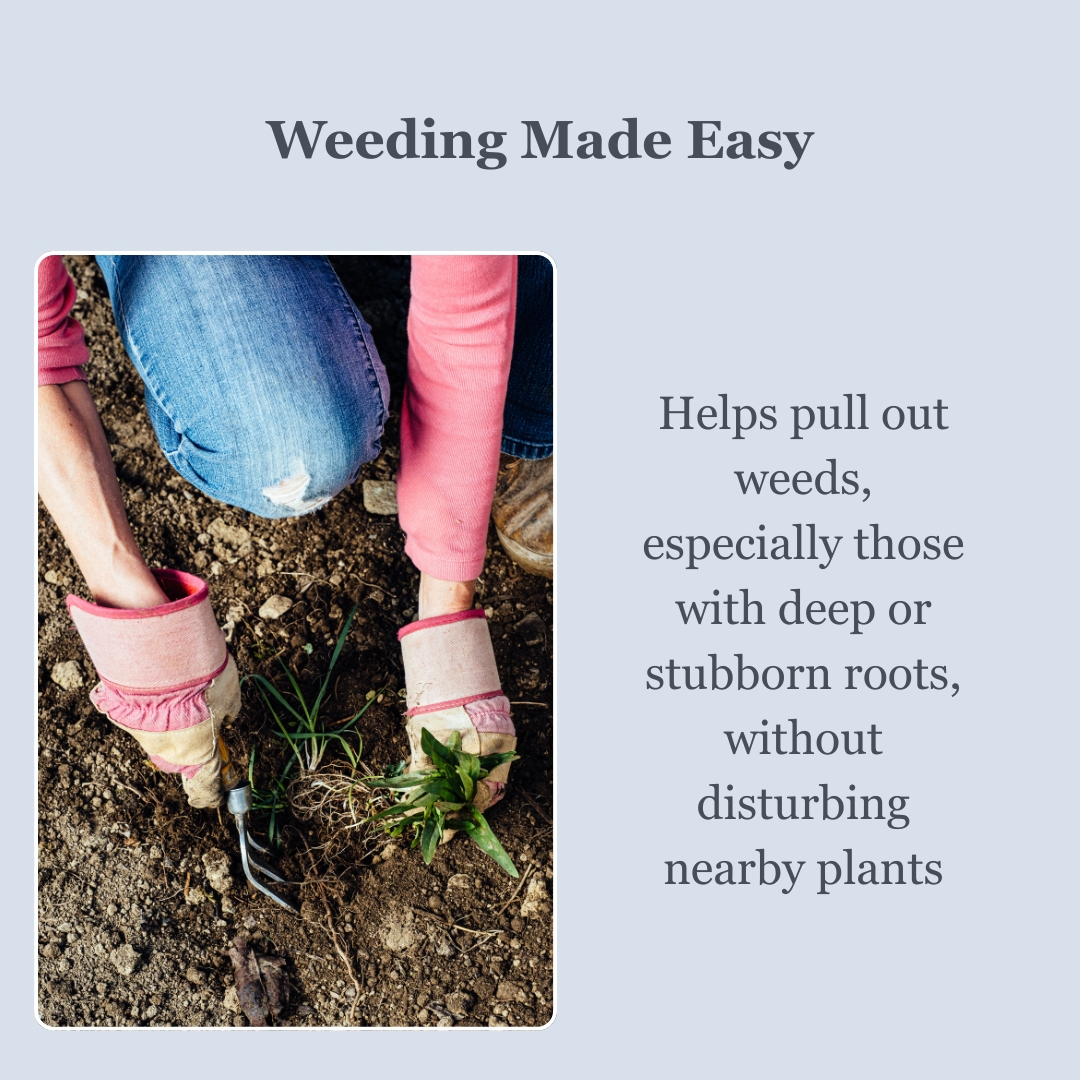 Addnl Image3 Addnl Image3