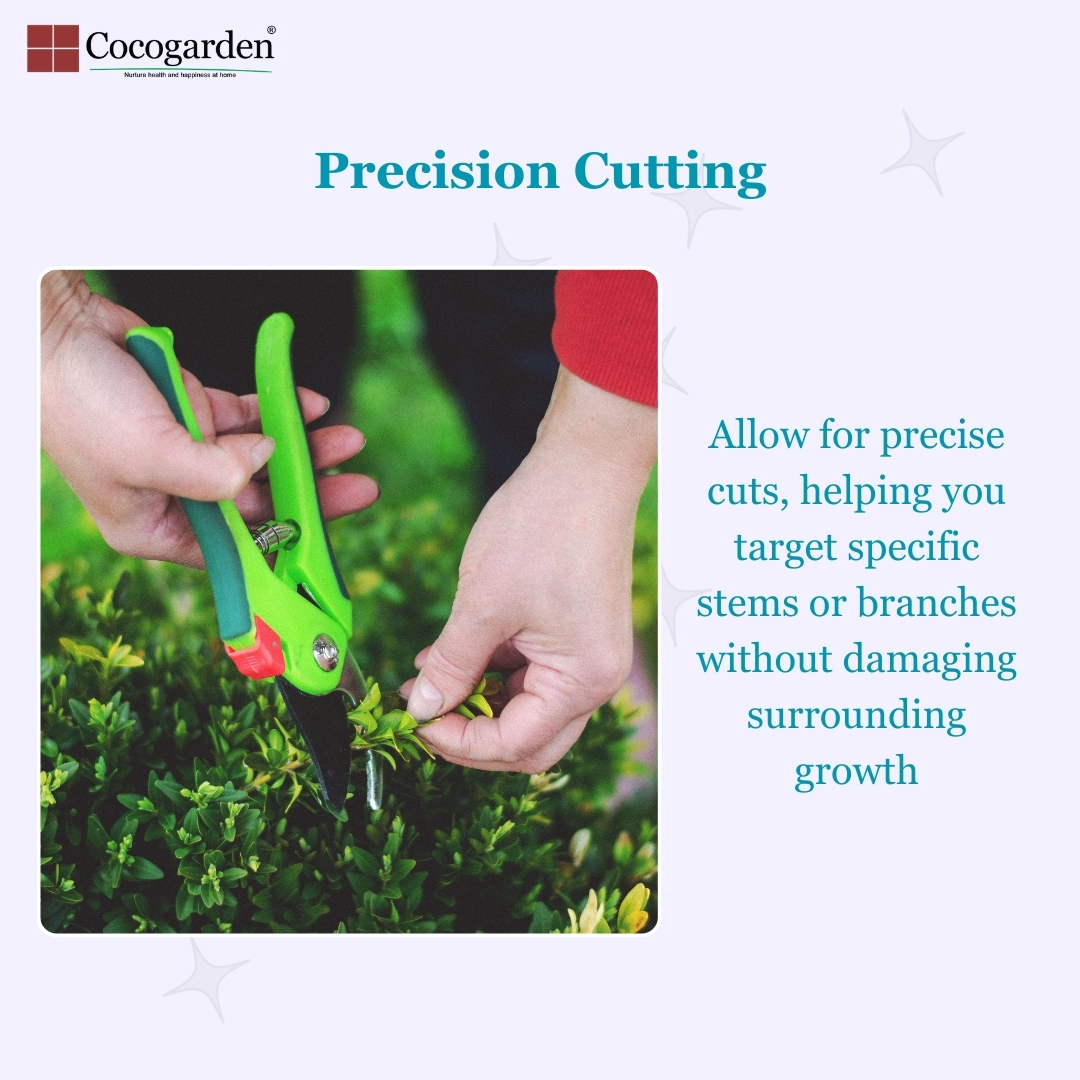 Addnl Image3 Addnl Image3