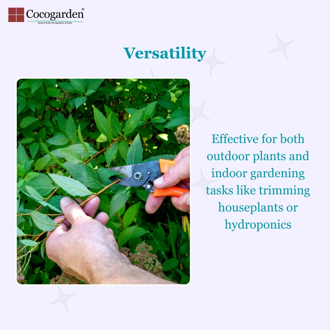 Addnl Image4 Addnl Image4