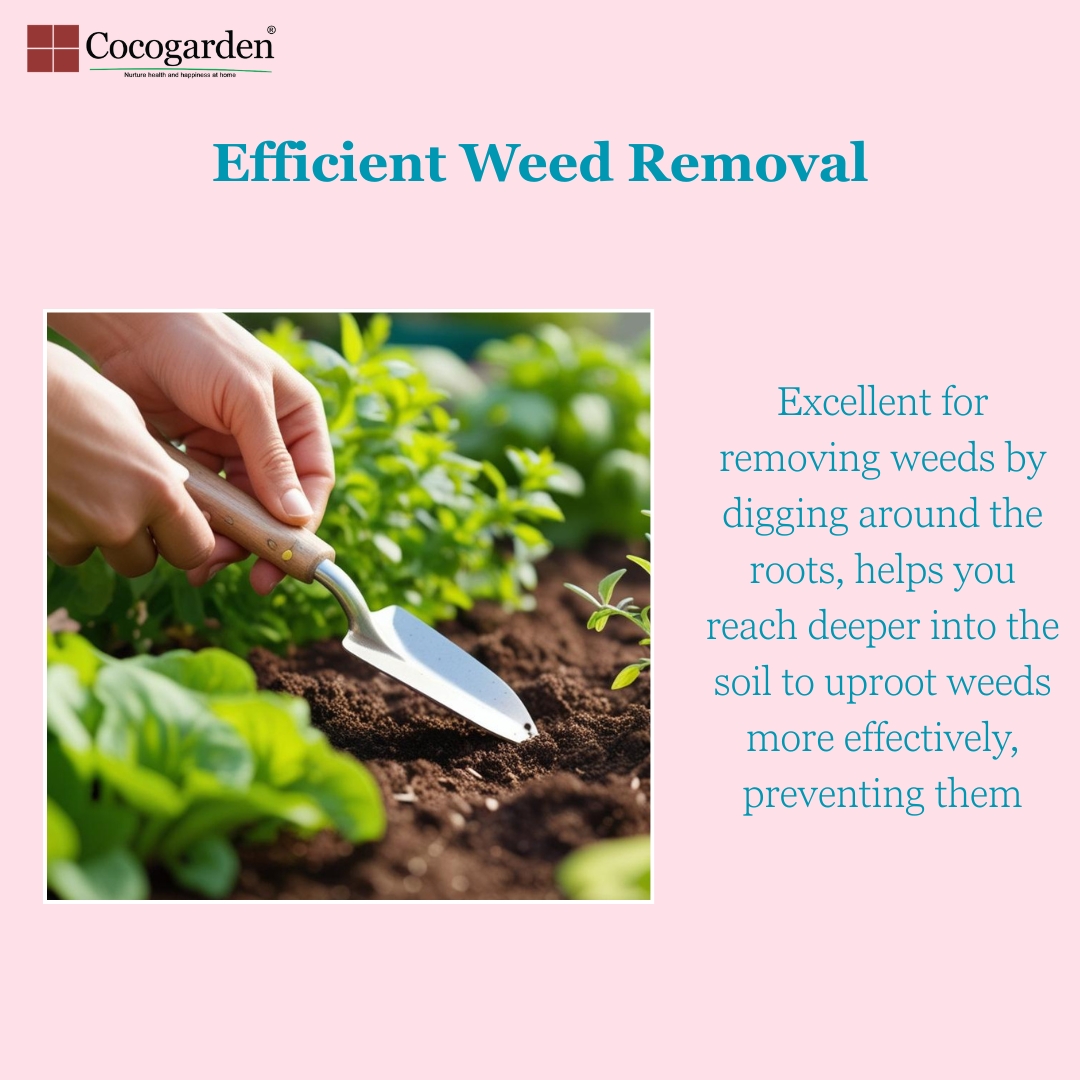 Addnl Image5 Addnl Image5