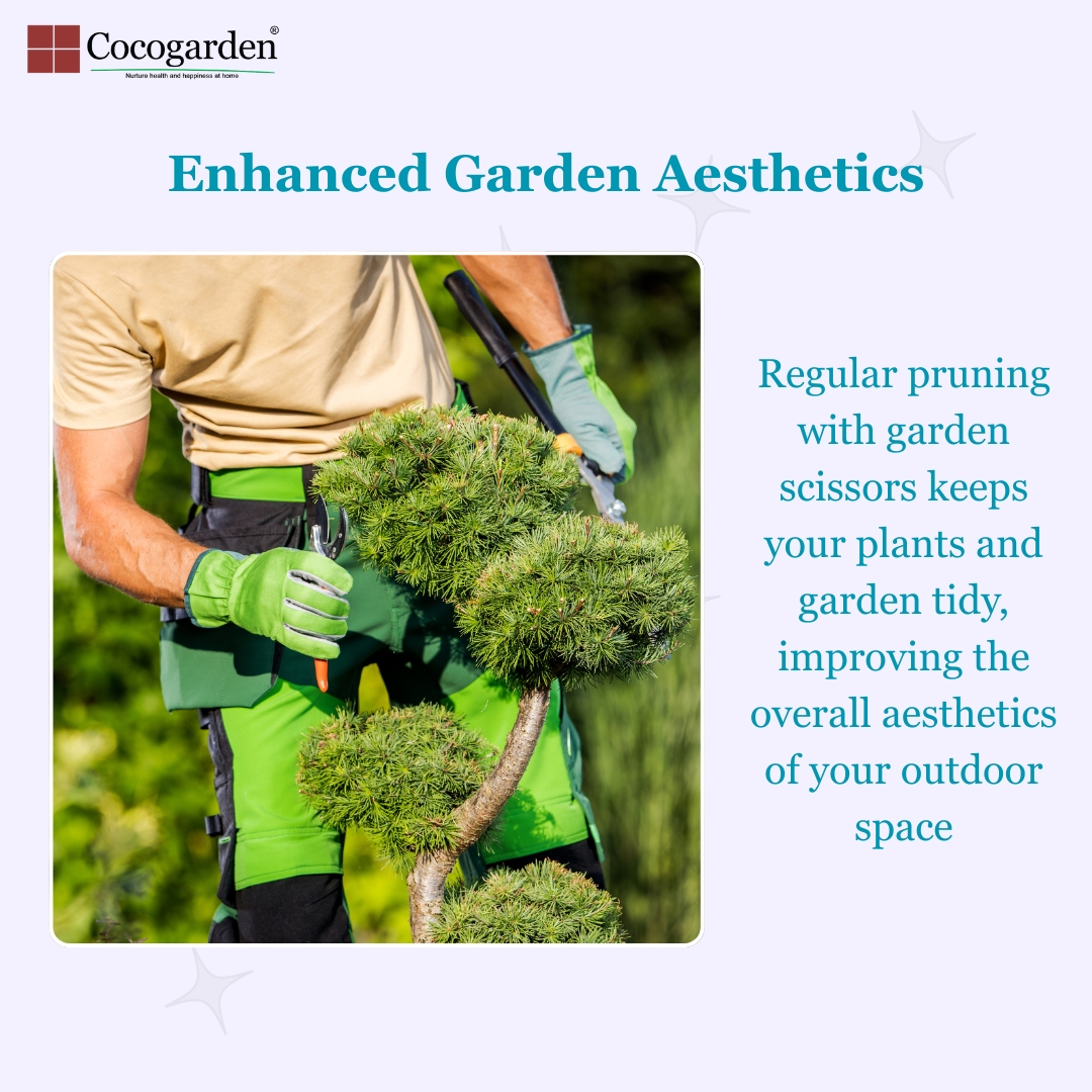 Addnl Image5 Addnl Image5