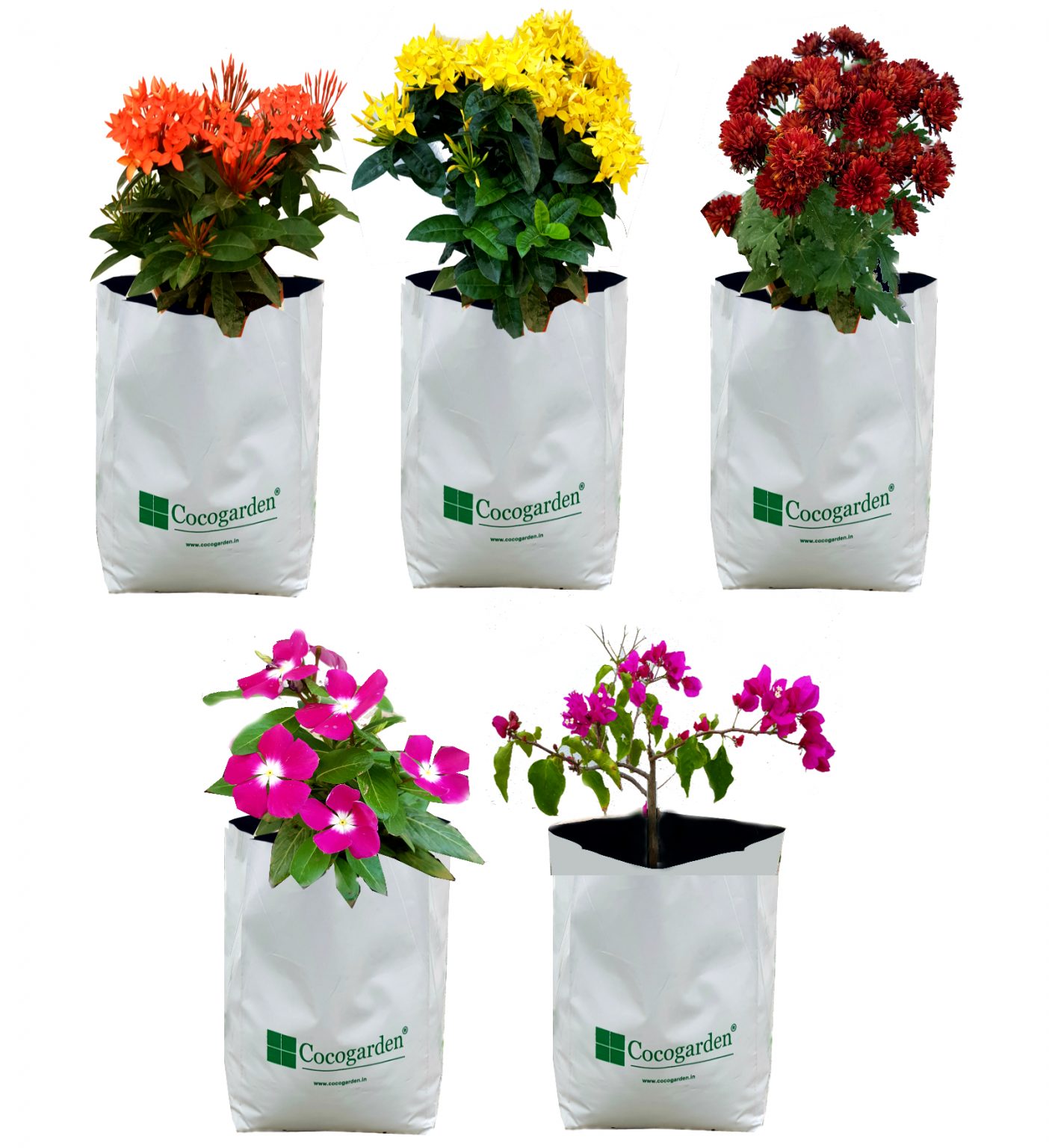 Poly Grow Bags Uv Stabilized [20Cms(L) X20Cms(W) X40Cms(H)] (White) Cocogarden online store