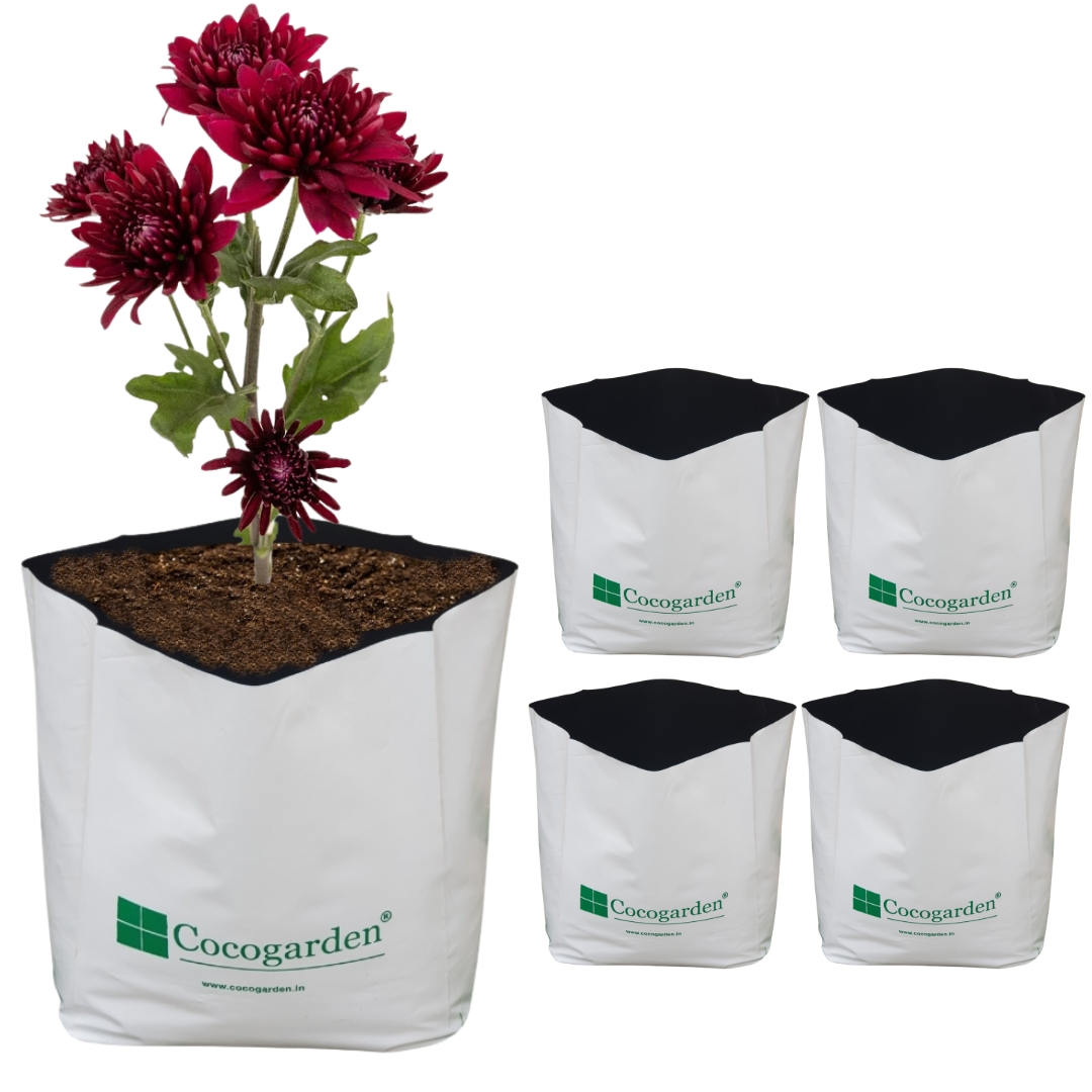 Growbag Med (Pack of 5) Growbag Med (Pack of 5)