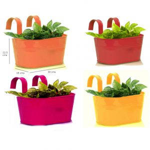 oval plain multi with pink_w