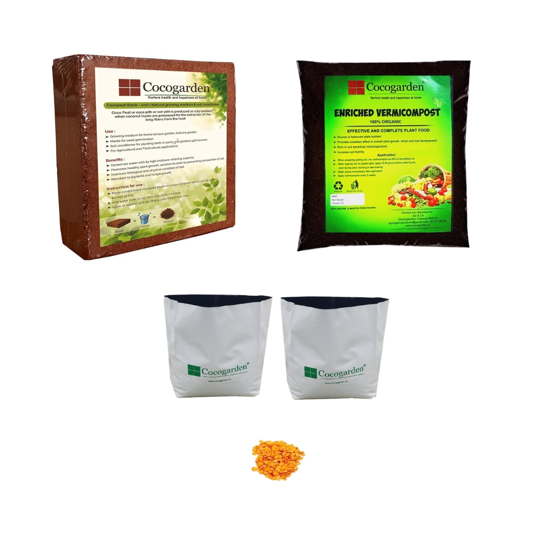 Grow kit brinjal seed Grow kit brinjal seed