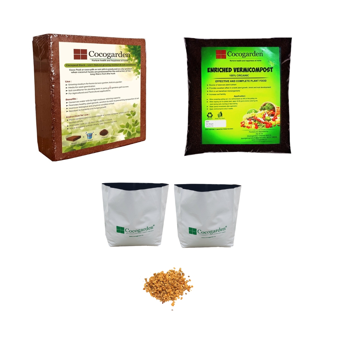 Spinach seeds & Grow kits Spinach seeds & Grow kits