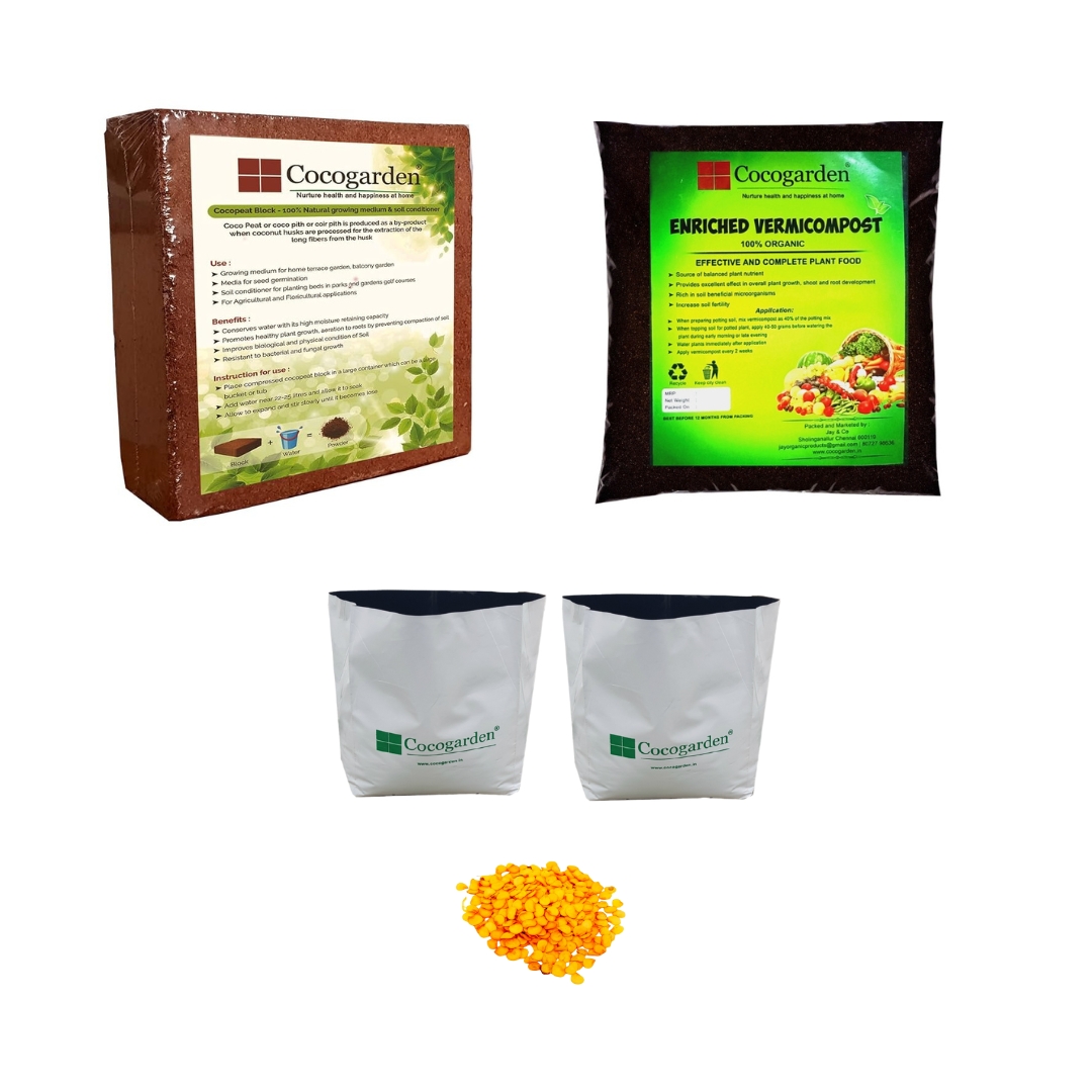 chilli seeds & Grow kits (1) chilli seeds & Grow kits (1)