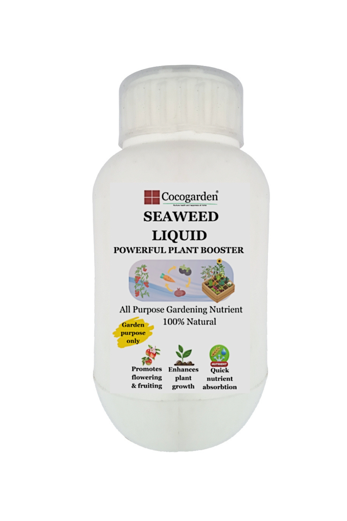 Seaweed WB Seaweed WB