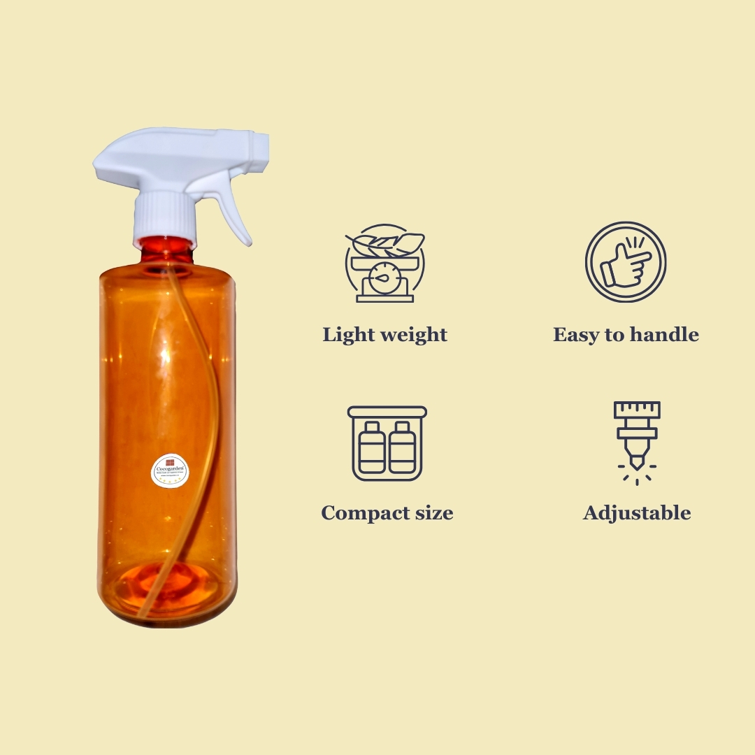 Addnl Image1 Addnl Image1