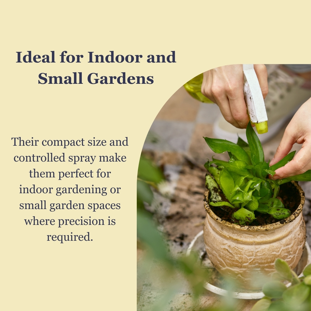 Addnl Image2 Addnl Image2