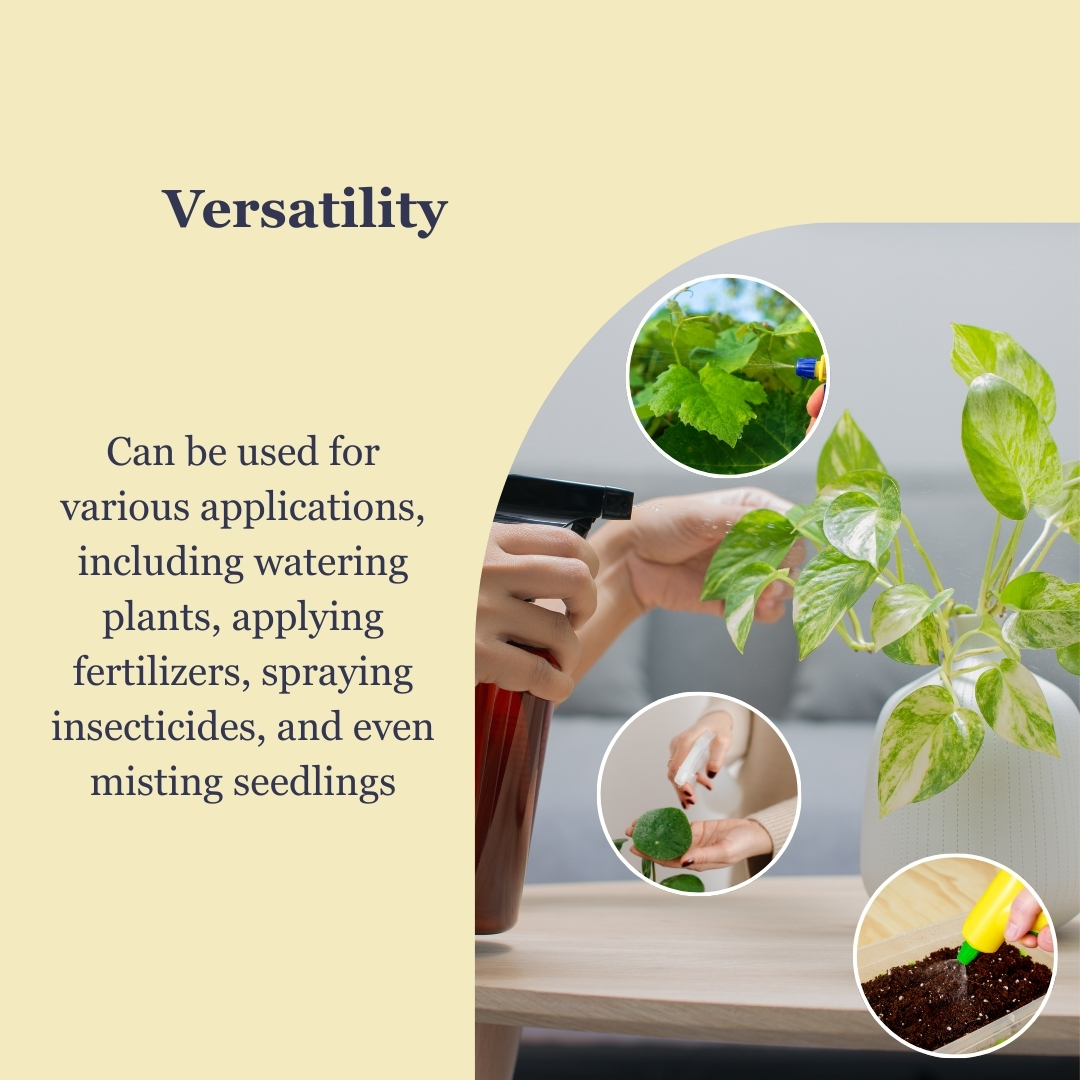 Addnl Image4 Addnl Image4