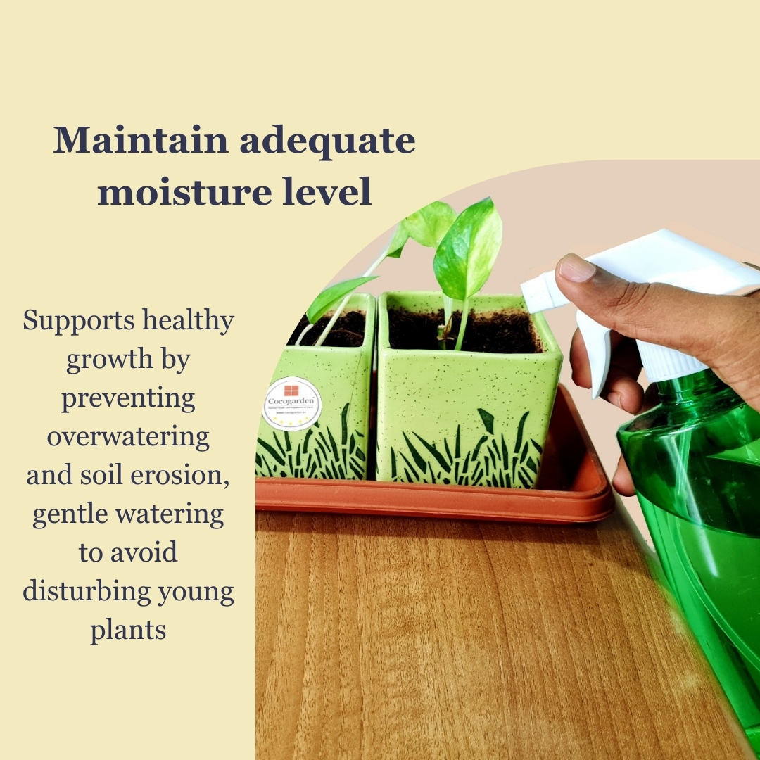 Addnl Image5 Addnl Image5