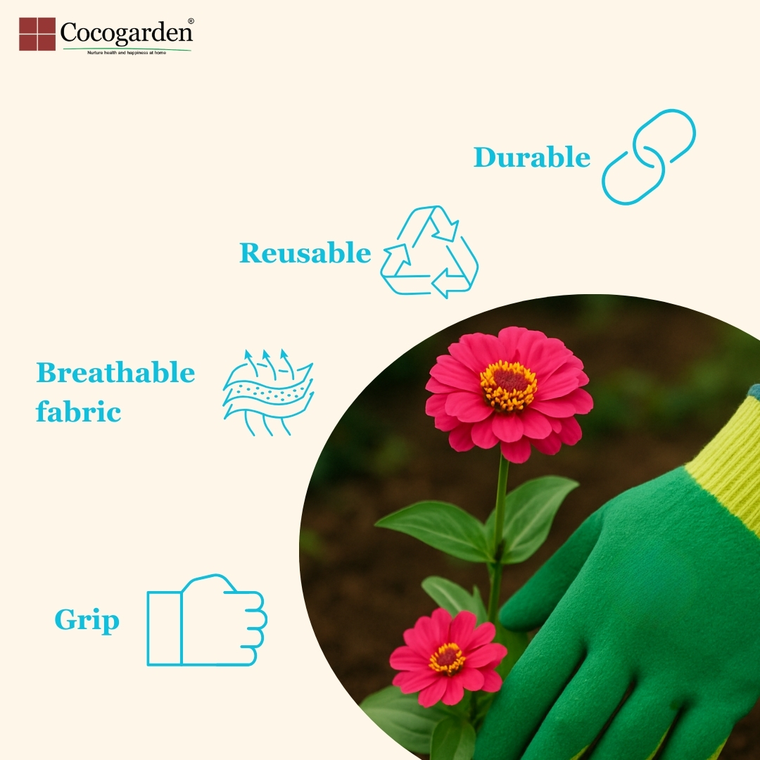 Addnl Image1 Addnl Image1