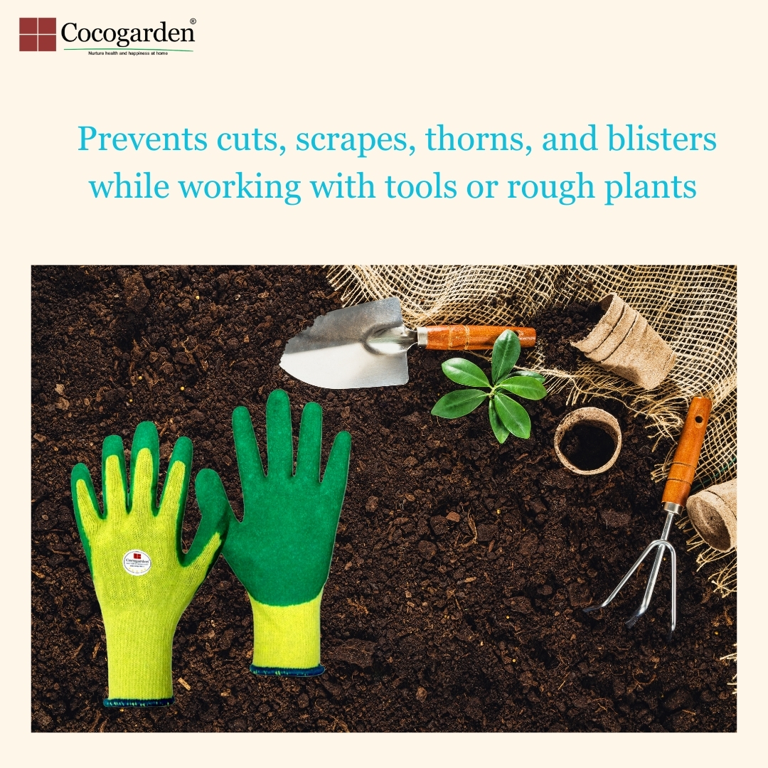 Addnl Image2 Addnl Image2