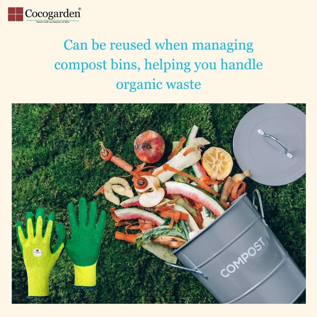 Addnl Image4 Addnl Image4