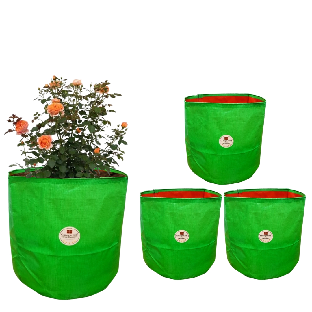 9 X 9 (Pack of 4) 9 X 9 (Pack of 4)