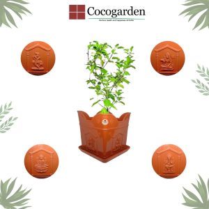 tulsi pot 02 tulsi pot 02